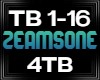 Zeamsone 4tb