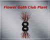 Flower Goth Club Plant