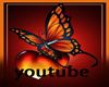 youtube video butterfly