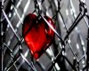 heart chained
