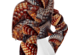 OrangeSerpent