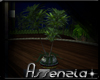 [ A ] Nocturnia Plant