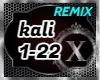 Kalinka - Remix