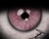 L Pink Eye