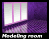 Supermodel Room