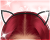 Kitty Headband