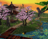 sunset cherry garden