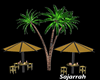 Bars & Palm Trees