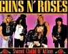 Guns N Roses,scom1-19