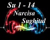 A**Narcisa - Sughitul