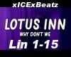 Lotus Inn - Why Don't We