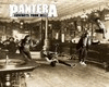Pantera Cowboy From Hell