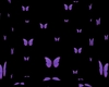 Butterfly Anim.