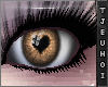 [Tj] Cullen Eyes