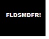 FLDSMDFR t-shirt