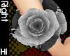 [Hi] Roses Bracelet R