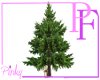 Animated Spruce Tree