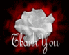 thank-you changing color
