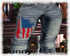 *SW* 4th July Flag Jeans