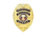 Conceal Weapon Badge