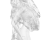 Victoria veil VZ211FD