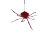 BAD Hanging Red Spider