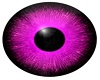 Light Purple Eyes