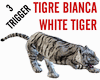APEC WHITE TIGER ANIMAT