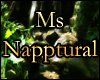 Ms Napptural Feature