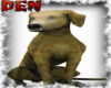 Golden Retriever Pet Dog