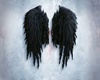 Wings Black