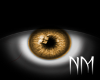 [NM] Gold Eye