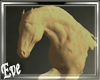 ♣ Lost Horse
