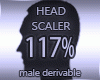 HEAD  SCALER