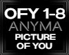 Picture Of You