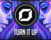 "Turn It Up " Remix