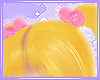Pom Pom x Lusi