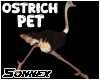 Ostrich