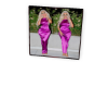 Clermont Twins