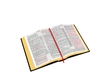 Holy Bible (Open)