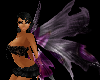wings purple