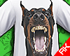 Rott