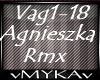 AGNIESZKA RMX