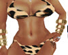 Wild Leopard Bikini 2pc