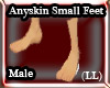 (LL)Anyskin Small Feet M
