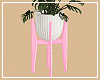 Cute Pink Plant