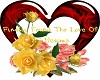 love of a lifetime
