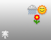 Skype Rain Sun & Flower