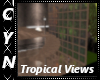 Tropical Views