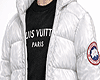 LOUIE X GOOSE